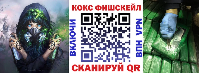 Купить  Лениногорск  COCAIN Fish Scale 