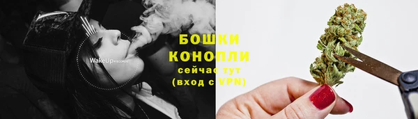 сатива Семёнов